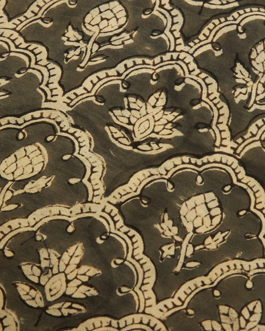 Raina Pure Chanderi Silk Shirt