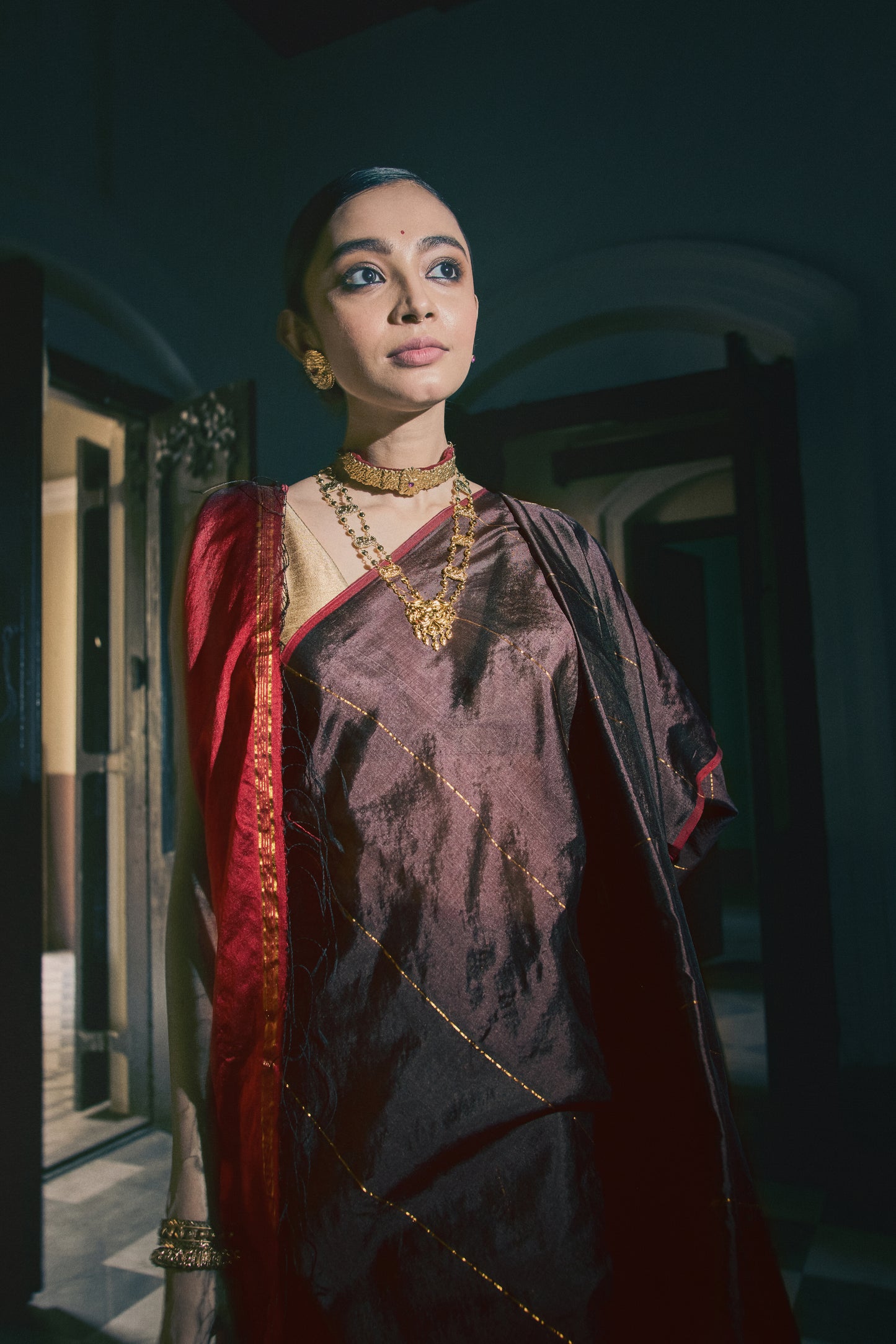 Charu Maroon Brown Saree